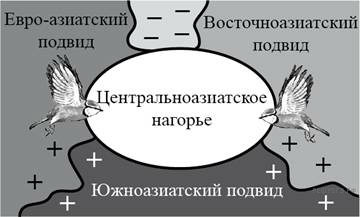 Иллюстрация к заданию №24